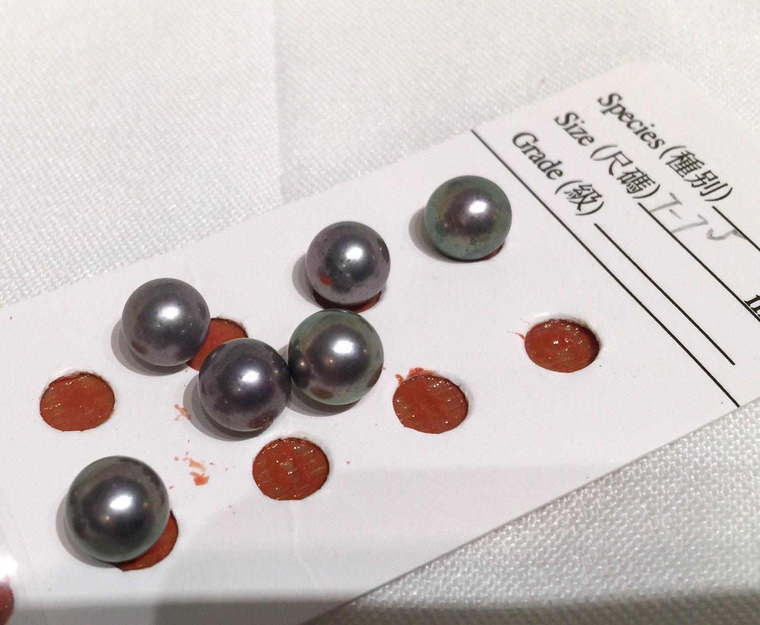 AAAA Gem quality Pair 6.5-7mm 7-7.5mm perfect round Tahitian color pearl, Peacock black freshwater pearl matched genuine pearl New