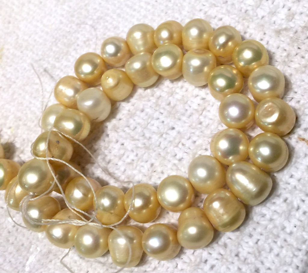 8mm Freshwater Pearl round potato pearl Yellow Champagne 15'' Full Strand 50pc  #RS2062