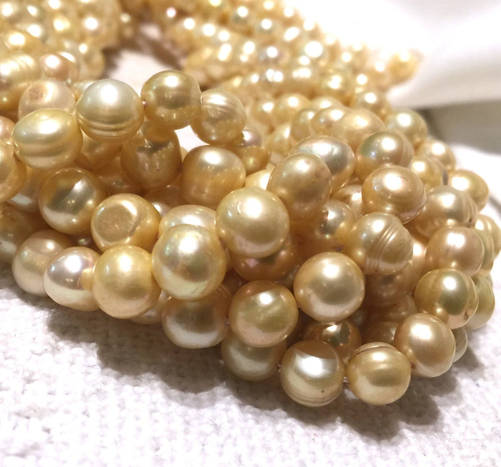 8mm Freshwater Pearl round potato pearl Yellow Champagne 15'' Full Strand 50pc  #RS2062