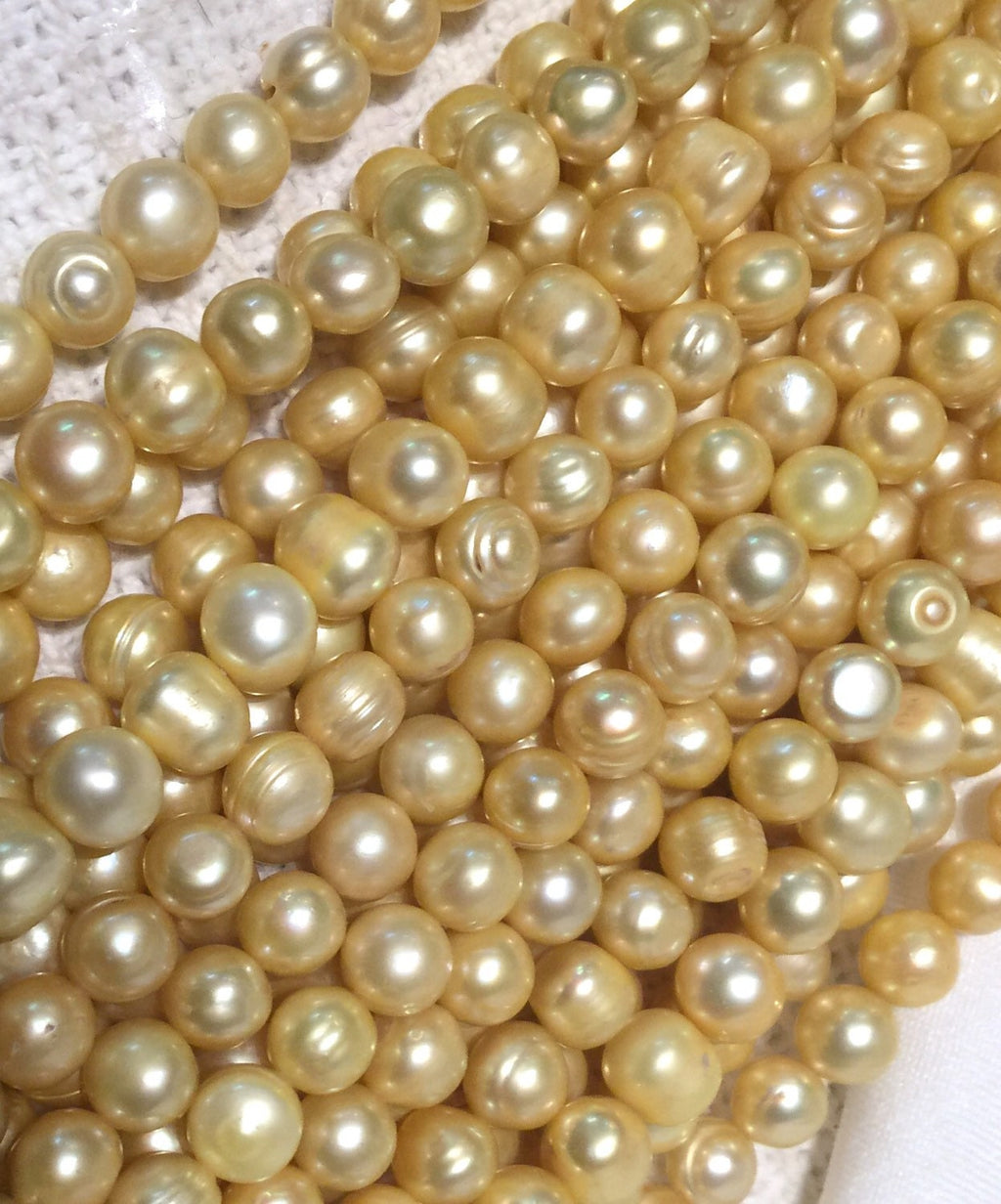 8mm Freshwater Pearl round potato pearl Yellow Champagne 15'' Full Strand 50pc  #RS2062